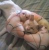 IMG_8007.jpeg