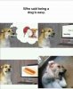FB_IMG_1752301951553.jpg