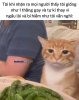 FB_IMG_1752329670049.jpg