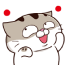 upload_2025-7-15_14-2-37.png