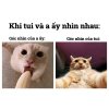 FB_IMG_1753008498353.jpg