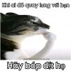 IMG_8290.jpeg