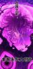 upload_2025-7-30_2-3-45.png