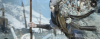 upload_2025-7-30_8-41-32.png