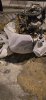 IMG_1179.jpeg