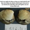FB_IMG_1753852786363.jpg