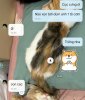 IMG_0522.jpeg