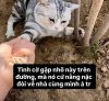FB_IMG_1753937537726.jpg