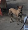 IMG_9837.jpeg