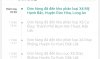 Screenshot_2025-08-02-07-19-03-228_com.shopee.vn-edit.jpg