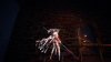 upload_2025-8-3_10-26-19.jpeg