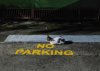 IMG_9883.jpeg