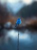 IMG_8423.jpeg