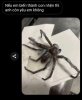 IMG_7046.jpeg