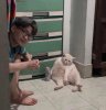 IMG_8433.jpeg
