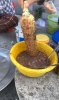 IMG_3738.jpeg