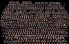 upload_2025-8-7_9-35-59.png