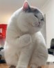 IMG_8473.jpeg