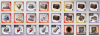 upload_2025-8-7_19-3-59.png