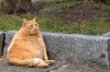 IMG_8497.jpeg