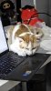 25375fae-b3bf-470f-8941-2169f348fbeb.jpg