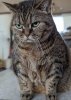 IMG_8501.jpeg