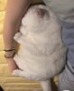 IMG_8503.jpeg