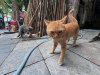 FB_IMG_1754651135851.jpg