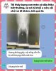 IMG_1258.jpeg