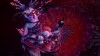 upload_2025-8-8_21-7-19.png