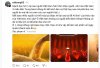 IMG_9938.jpeg
