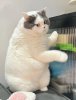 IMG_8513.jpeg