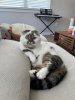 FB_IMG_1754702702991.jpg