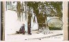 IMG_9944.jpeg
