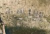 IMG_9945.jpeg
