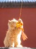 IMG_8540.jpeg