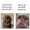 upload_2025-8-10_19-20-43.png