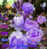 9e121a5f23421715bf9ff24d4dd5957d.gif