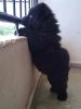 IMG_8559.jpeg