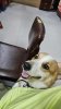 received_3979007672429414.jpeg