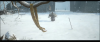 upload_2025-8-13_11-46-9.png