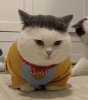 IMG_8626.jpeg