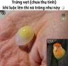 FB_IMG_1755264161141.jpg