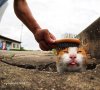 FB_IMG_1755325151570.jpg