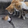 FB_IMG_1755325160224.jpg