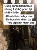IMG_0876.jpeg