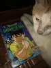 IMG_8684.jpeg
