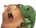 duhoity.png