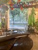 IMG_1156.jpeg