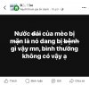 FB_IMG_1755743016477.jpg